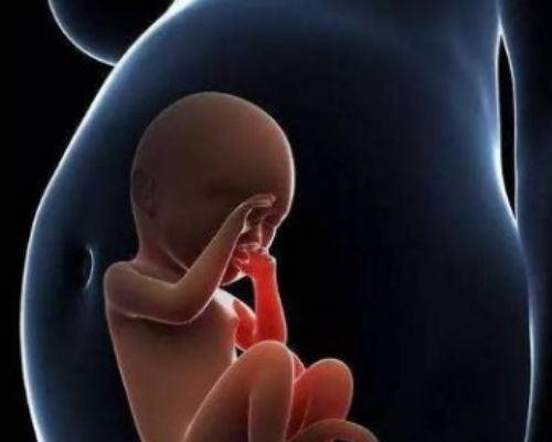 生化妊娠四个月后怀孕香港验血,双侧巧囊+轻微多囊卵巢,分享我的全部试管婴儿
