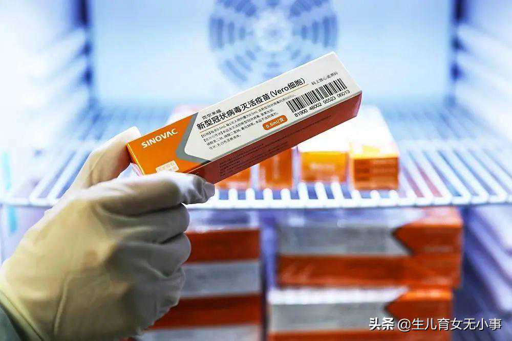香港验血胚胎多少钱,备孕或辅助生殖助孕可以打新冠疫苗吗？