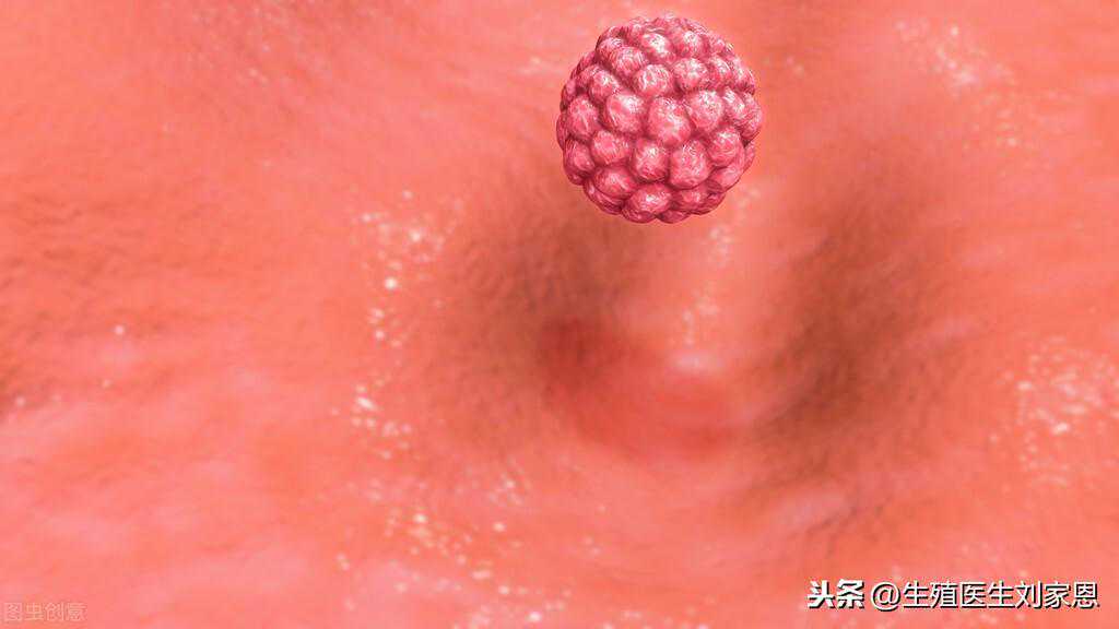 香港6周 验血12个d,43岁卵巢功能差，做试管怀孕希望大吗？促排卵短方案了解一