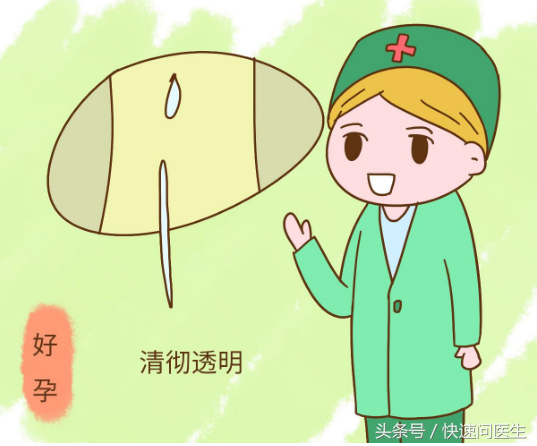 香港人很少验血查男女,90后备孕一年未果，没想到这4种方法助孕效果那么好！