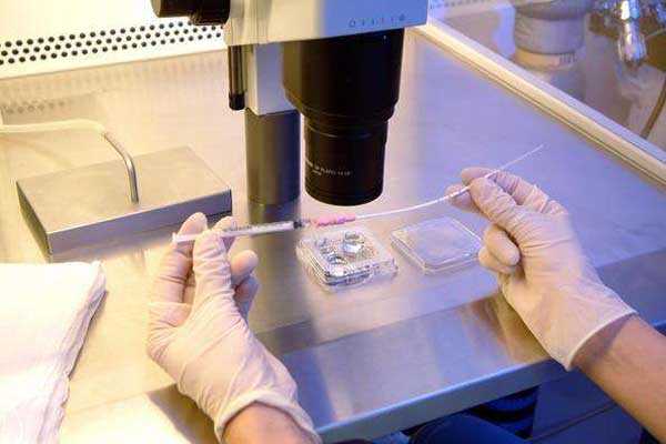 香港健达基因验血结果官网查询,泰国试管婴儿胚胎移植后的4个常见症状