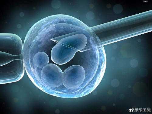 孕7周DNA香港验血,你适合哪种美国试管婴儿方案冷冻胚胎移植还是新鲜胚胎移植