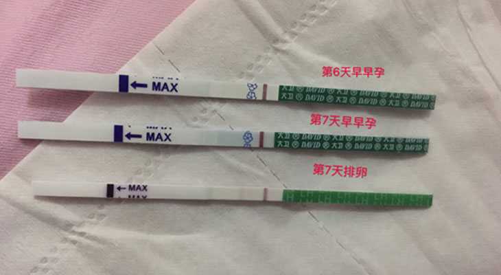 香港验血哪里便宜,试管囊胚第七天白板别着急，过几天宝宝就来了。