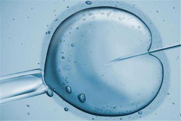 怀孕胚芽8mm可以香港验血,试管婴儿费用贵不贵需要多少钱？一代至三代费用详
