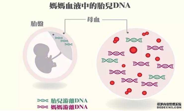 哪里可以香港验血查胎儿性别_怀孕九周了还能够到香港验血吗？