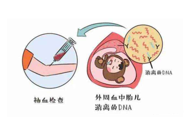 怀孕50天香港验血_靠谱的DNA判定规范科学精准