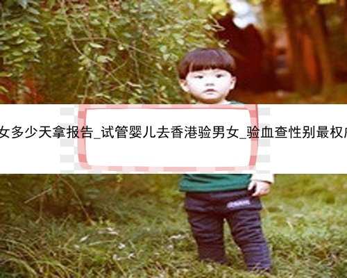 香港验血男女多少天拿报告_试管婴儿去香港验男女_验血查性别最权威的是哪家