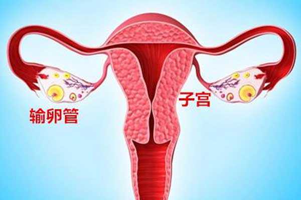 怀孕后做dna验血去香港多少钱,宫腔积液如何影响辅助生殖技术中助孕过程？