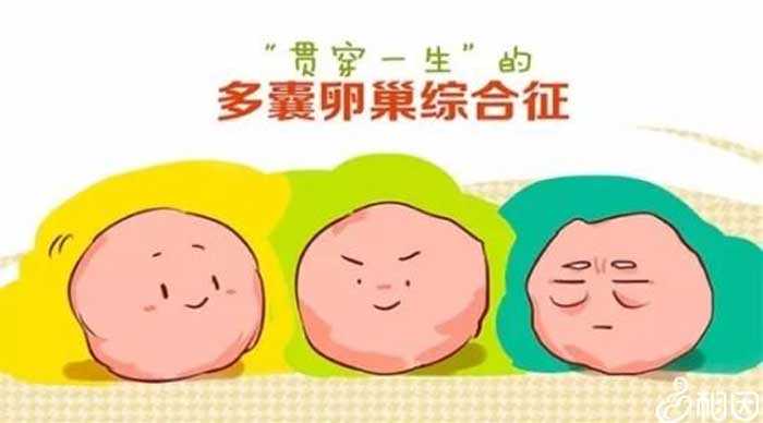 香港邮寄验血被骗4000,多囊卵巢怎么备孕才能成功？除了试管还有这2种方法