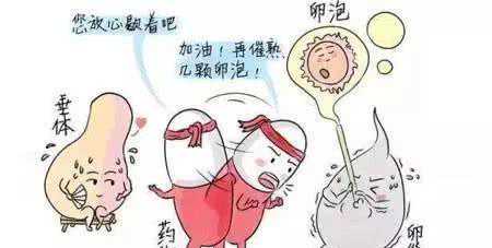 香港验血结果为不确定 什么原因,试管婴儿促排，你想知道的都在这里了！