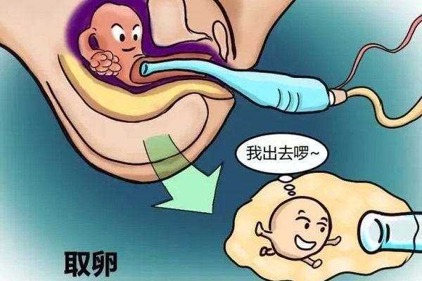 香港验血查染色体多少天,二胎备孕失败，该做人工授精还是试管婴儿呢